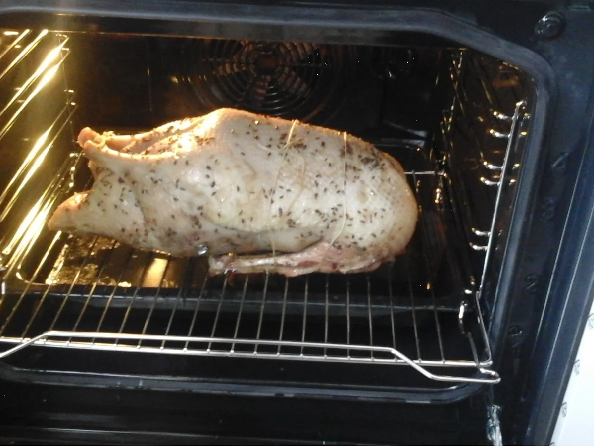 Gans ganz langsam - Rezept - Bild Nr. 15635