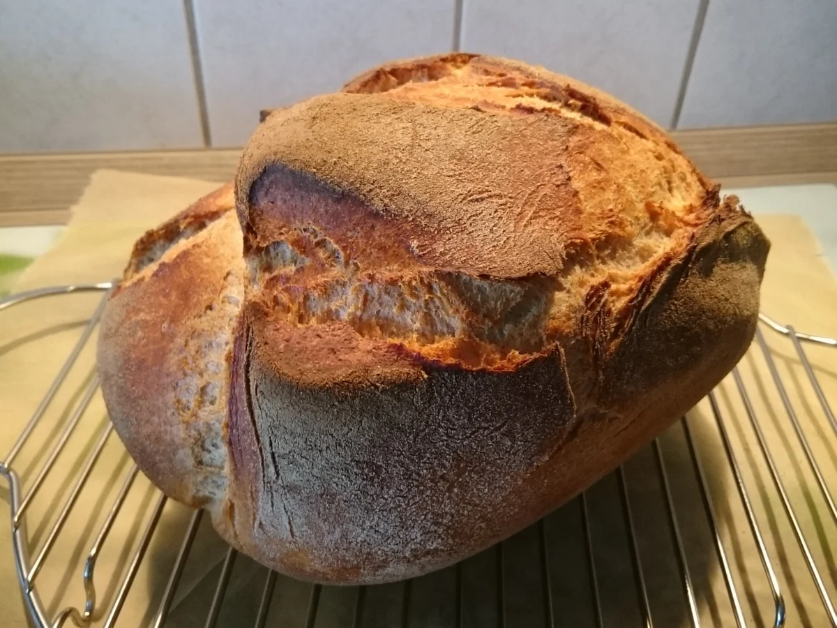 Roter Heringssalat nach meiner Art - Rezept - Bild Nr. 15638