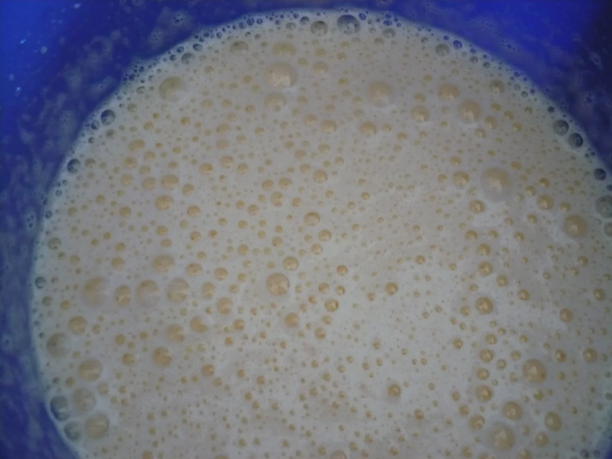 Rezept: Rübli - Marzipan - Muffins Bild Nr. 15639 Rübli - Marzipan - Muffins - Rezept - Bild Nr. 15639