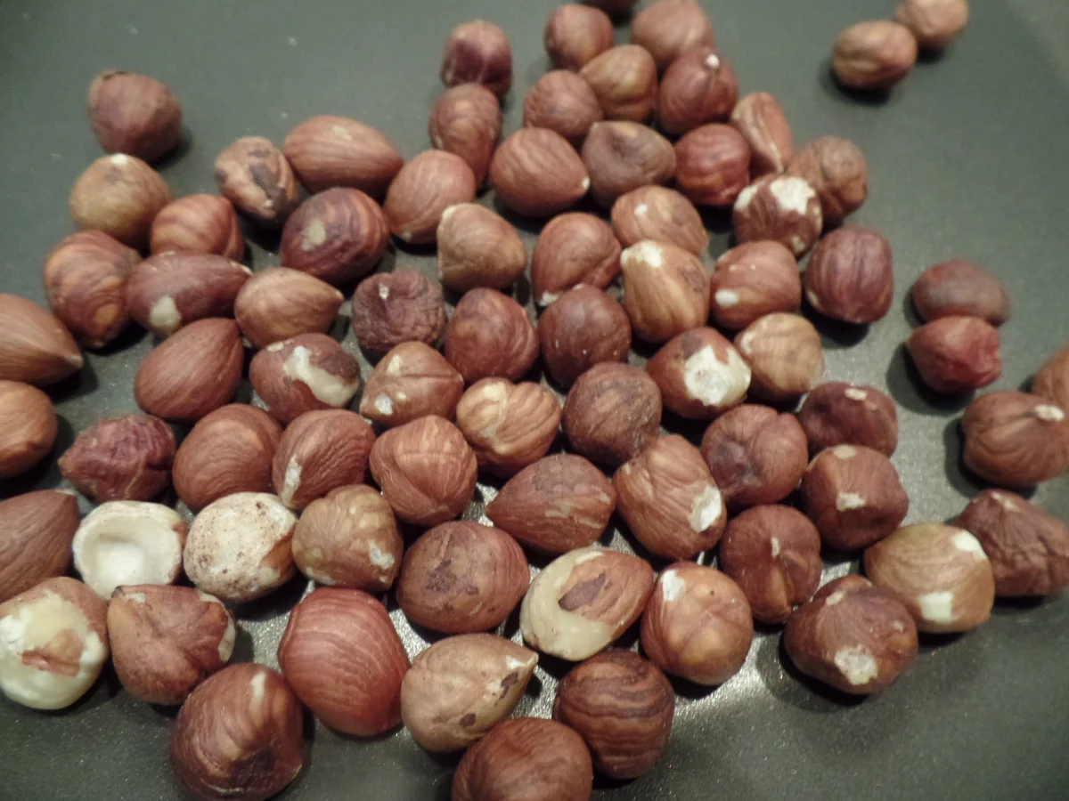 Tagliatelle mit Haselnuss-Parmesan-Sauce - Rezept - Bild Nr. 15641