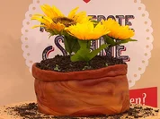 Agniezkas Meisterstück - Rezept - Bild Nr. 2