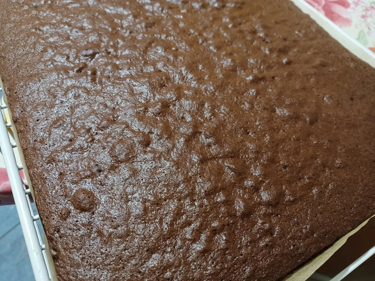 Kokos - Kuchen - Rezept - Bild Nr. 15652