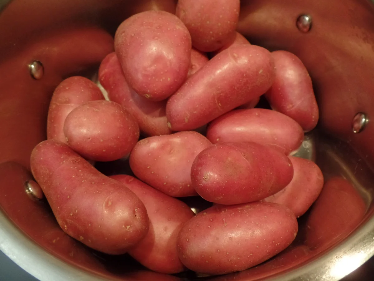 Rezept: Pellkartoffeln mit Kräuterquark und Leinöl Bild Nr. 15650 Pellkartoffeln mit Kräuterquark und Leinöl - Rezept - Bild Nr. 15650