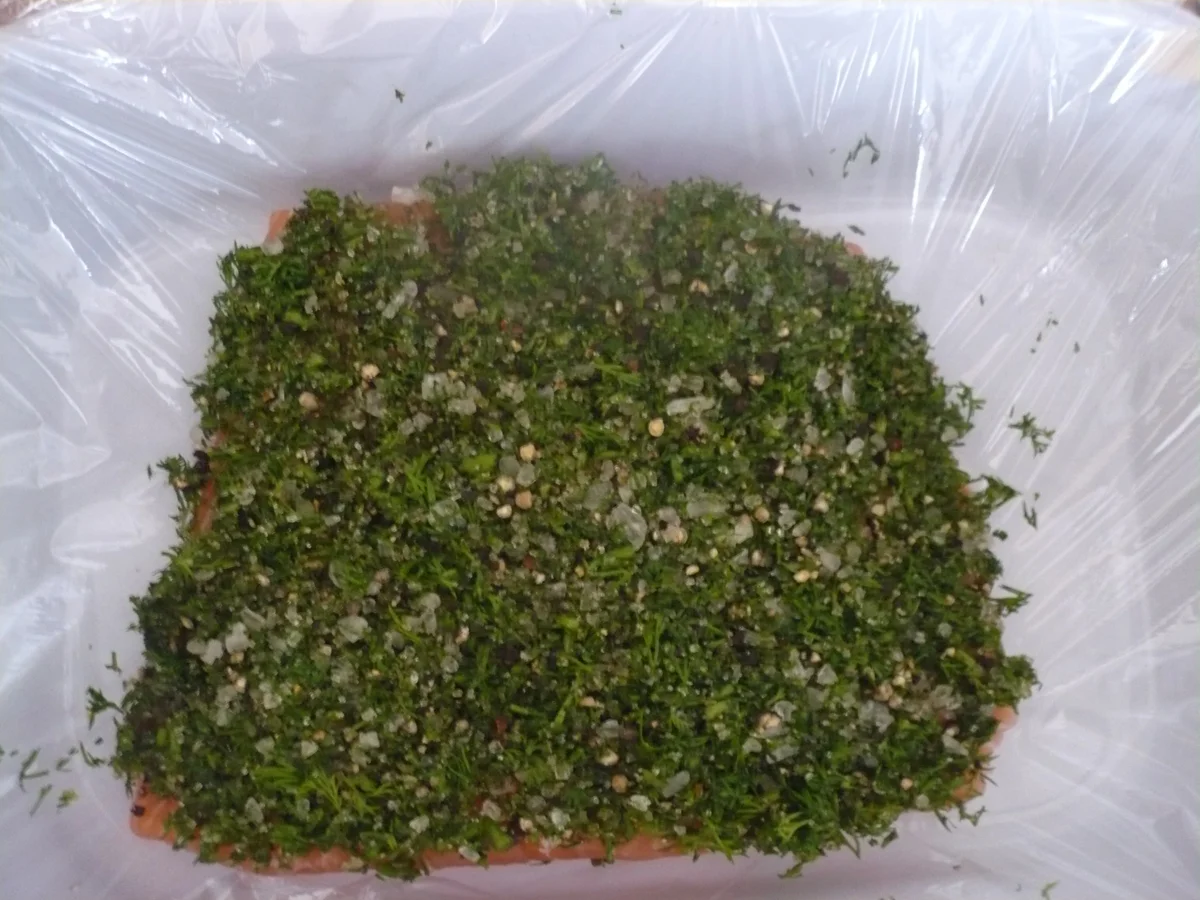 Rezept: Graved Lachs Bild Nr. 15657 Graved Lachs - Rezept - Bild Nr. 15657