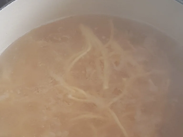 Spaghetti (Teil 1) - Rezept - Bild Nr. 15665