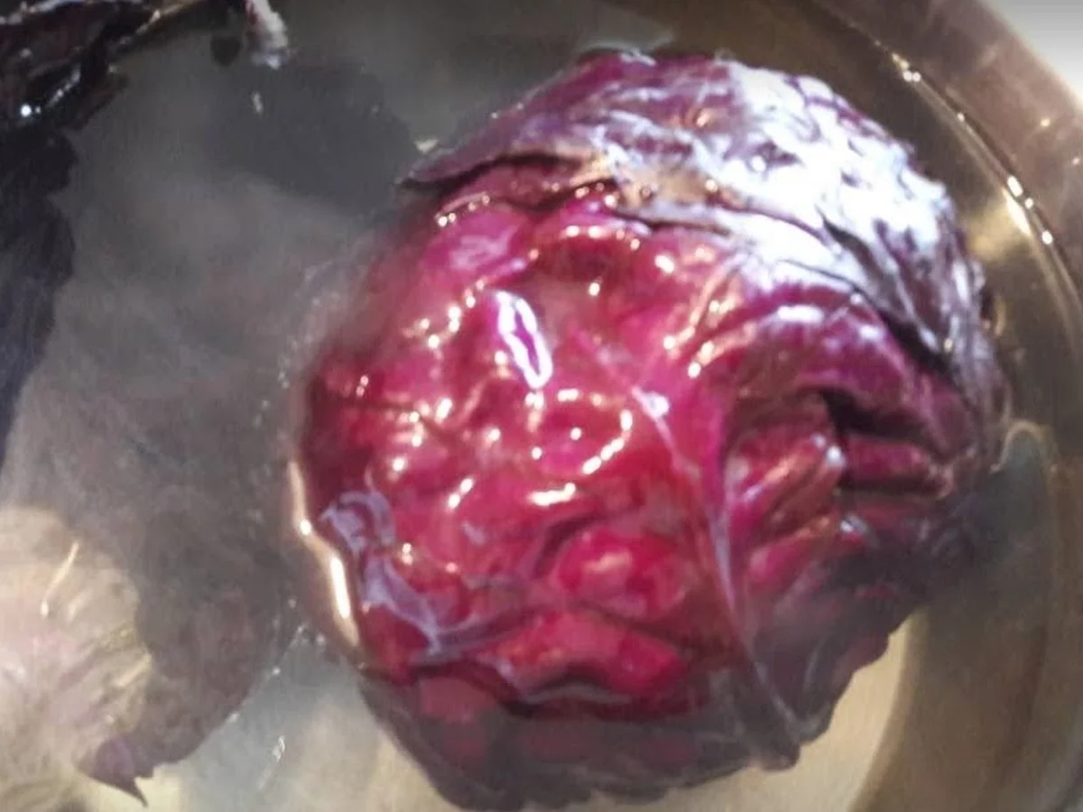 Rezept: Gefüllte Hackfleisch Variationen Bild Nr. 15681 Gefüllte Hackfleisch Variationen - Rezept - Bild Nr. 15681