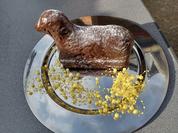 Rezept: ,, Schwarzes Schaf " Bild Nr. 2 ,, Schwarzes Schaf " - Rezept - Bild Nr. 2