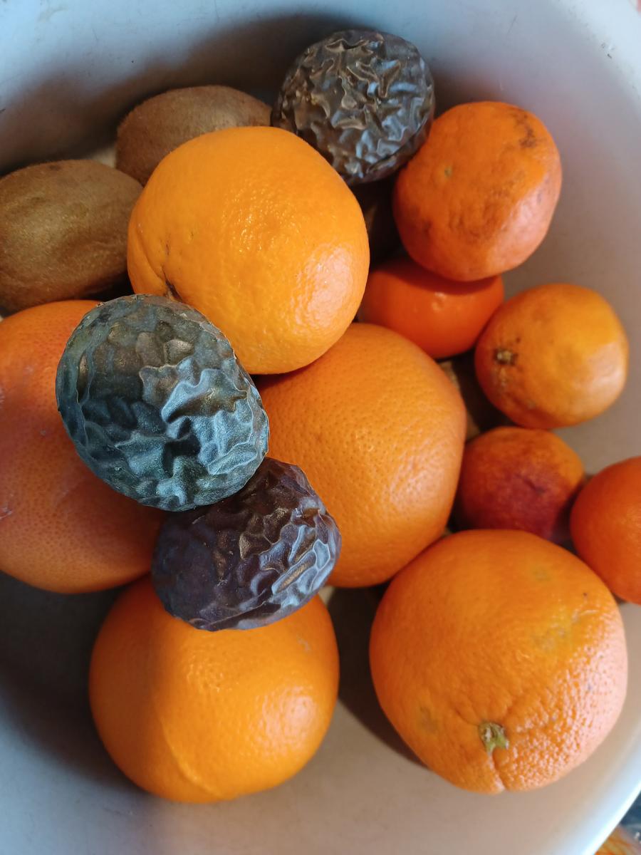Orangenmarmelade - Rezept - Bild Nr. 15685