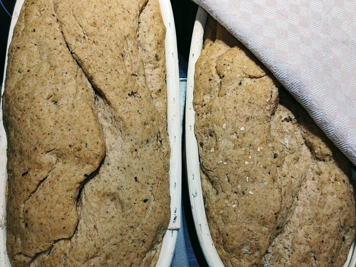 Rezept: Brot - Altbrotlaib - no knead Bild Nr. 15696 Brot - Altbrotlaib - no knead - Rezept - Bild Nr. 15696