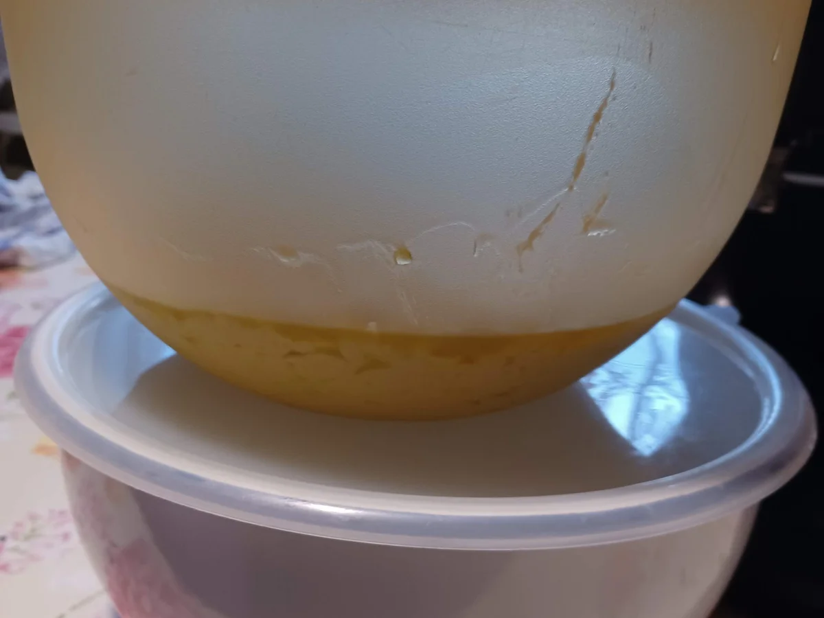 Lepinje - kulinarische Weltreise 04/2022 - Rezept - Bild Nr. 15708