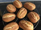 Knackige Brötchen - Rezept - Bild Nr. 15703