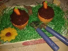 Schokomuffins“Frisch gepflanzt“ - Rezept - Bild Nr. 15703