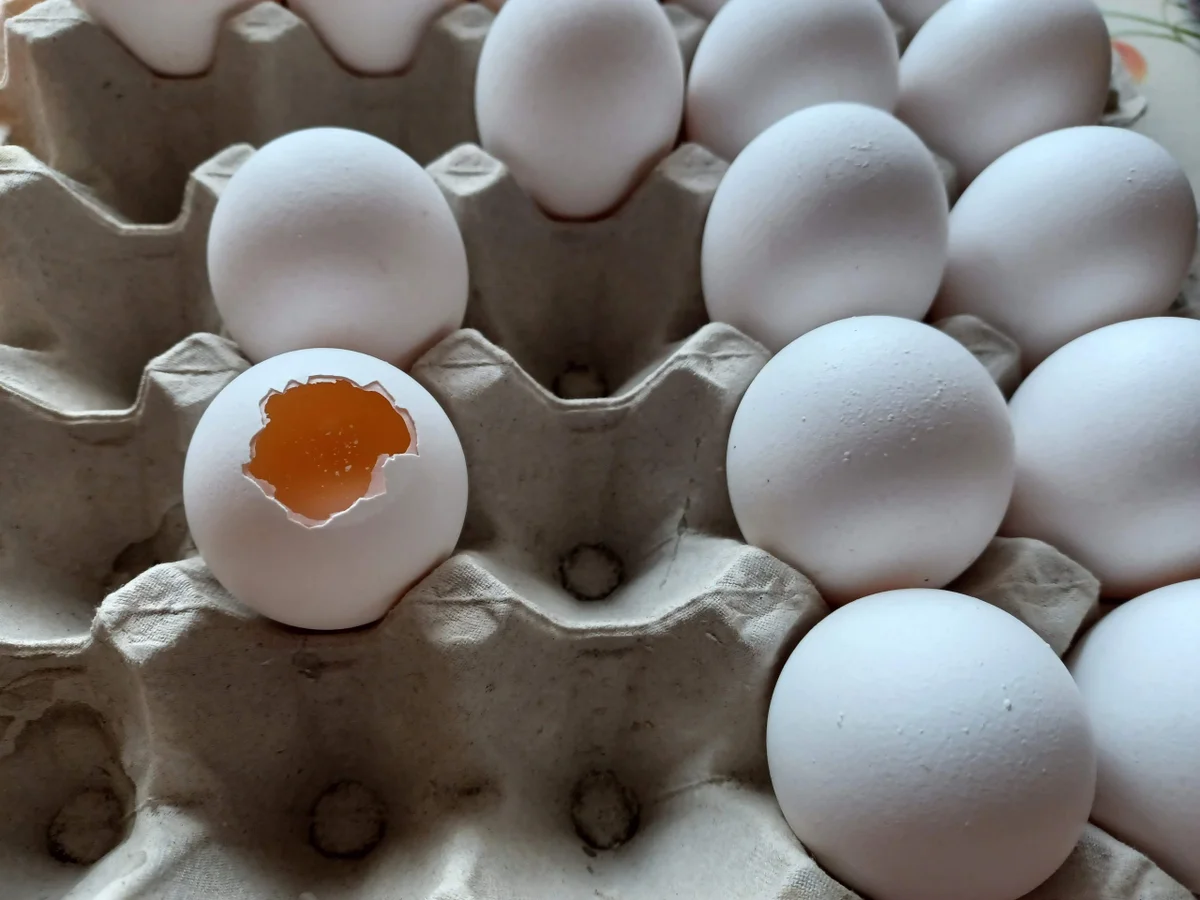 Kuchen im Ei - Rezept - Bild Nr. 15704