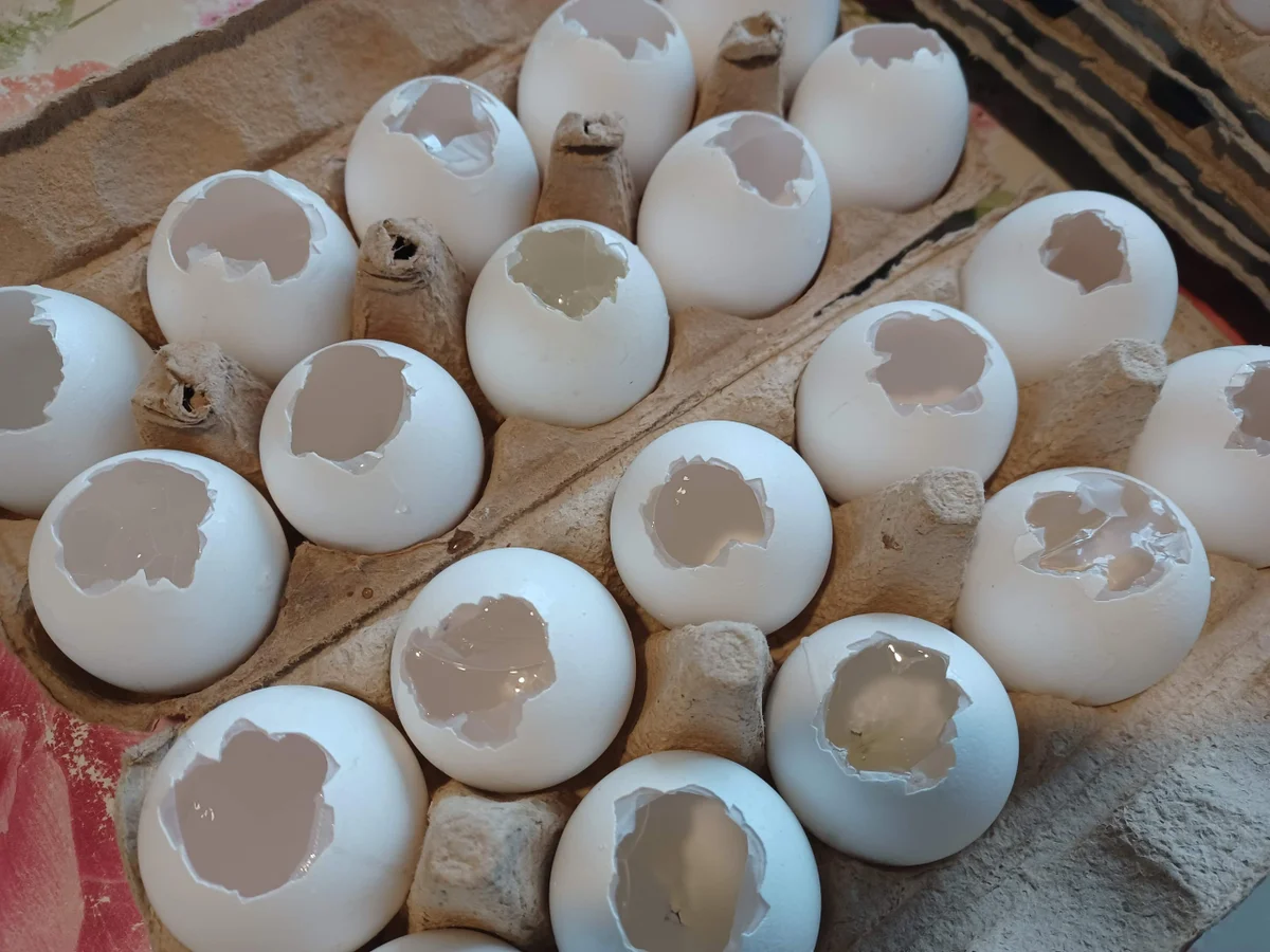 Kuchen im Ei - Rezept - Bild Nr. 15705