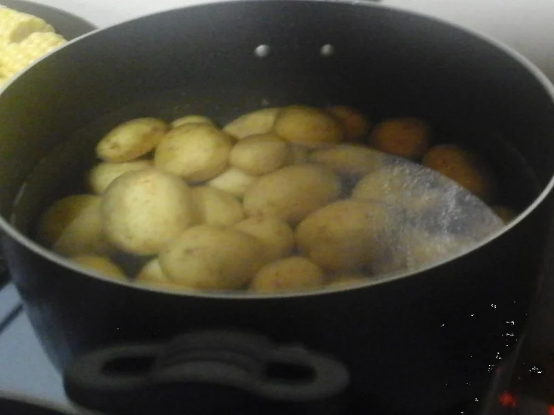 Rezept: Eier in Sahne-Senf-Sauce mit Schmorgurke, Buttermais und Drillingen Bild Nr. 10 Eier in Sahne-Senf-Sauce mit Schmorgurke, Buttermais und Drillingen - Rezept - Bild Nr. 10