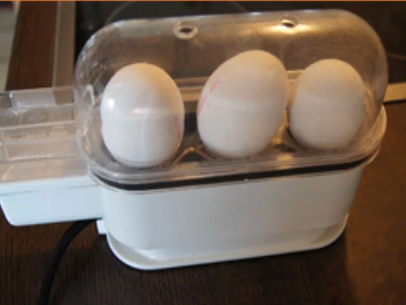 Rezept: Bobby Bohnen in Senfsauce mit gekochten Eiern und gelben Drillingen Bild Nr. 15727 Bobby Bohnen in Senfsauce mit gekochten Eiern und gelben Drillingen - Rezept - Bild Nr. 15727