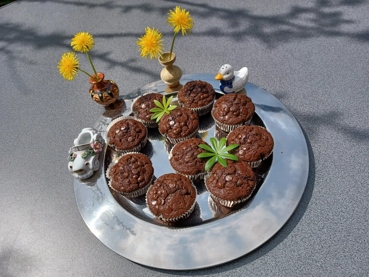 Rezept: Schoko - Schokoladen - Muffin Bild Nr. 15720 Schoko - Schokoladen - Muffin - Rezept - Bild Nr. 15720