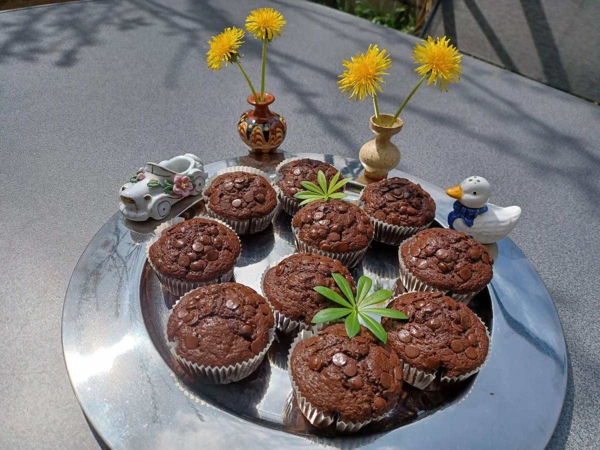 Rezept: Schoko - Schokoladen - Muffin Bild Nr. 15731 Schoko - Schokoladen - Muffin - Rezept - Bild Nr. 15731