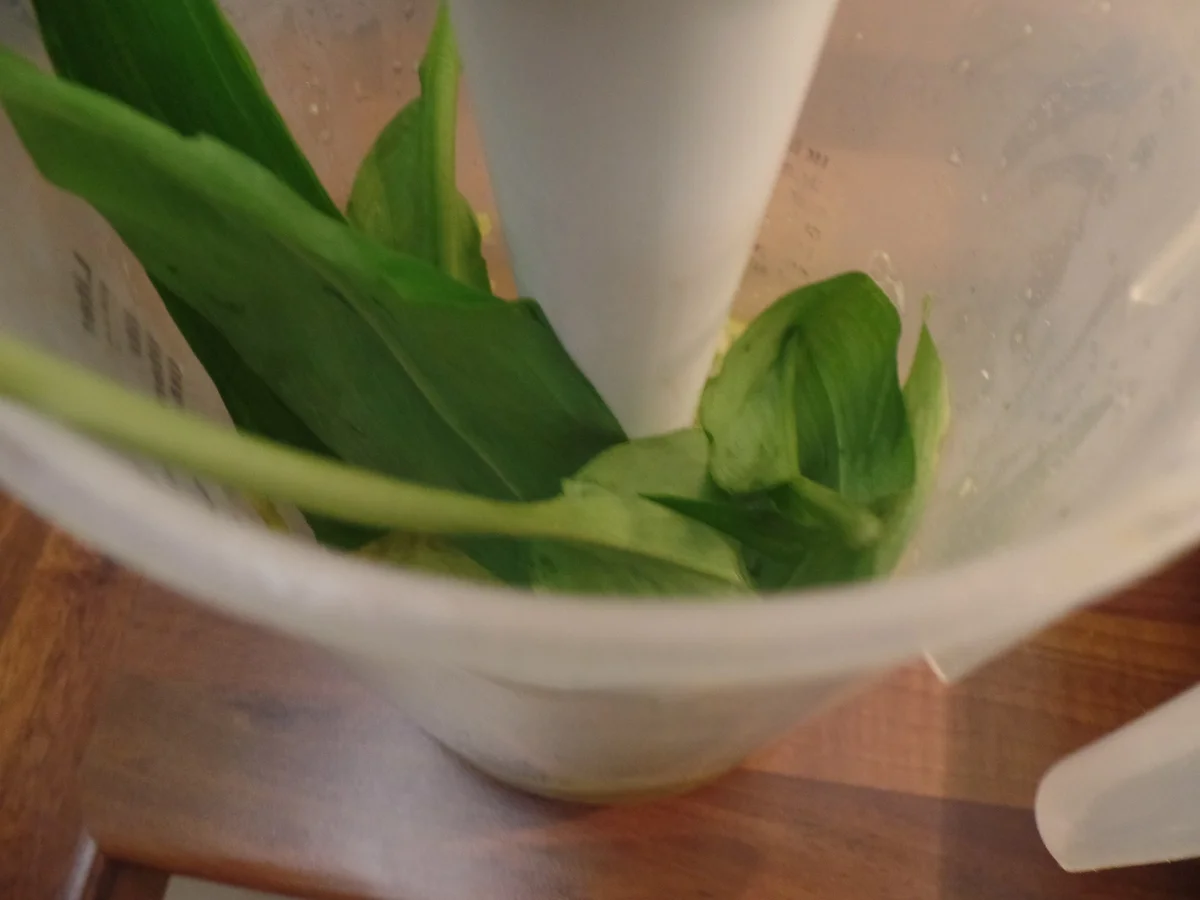 Spargel-Risotto mit Spargel-Bärlauch-Pesto - Rezept - Bild Nr. 15728