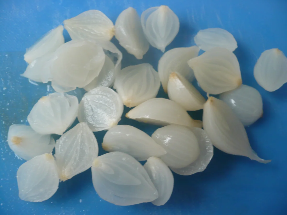 Teufelssalat - Rezept - Bild Nr. 15763