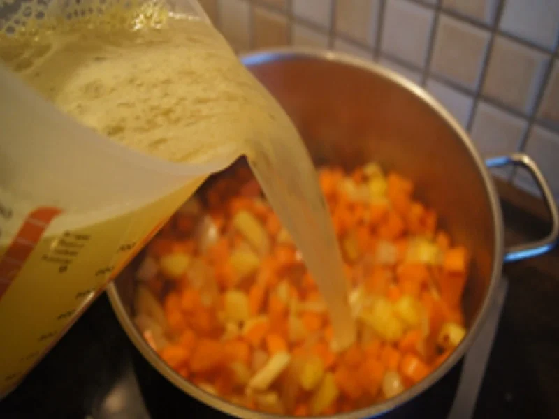 Möhren-Kokosmilch-Suppe mit Eismeer Garnelen - Rezept - Bild Nr. 15766