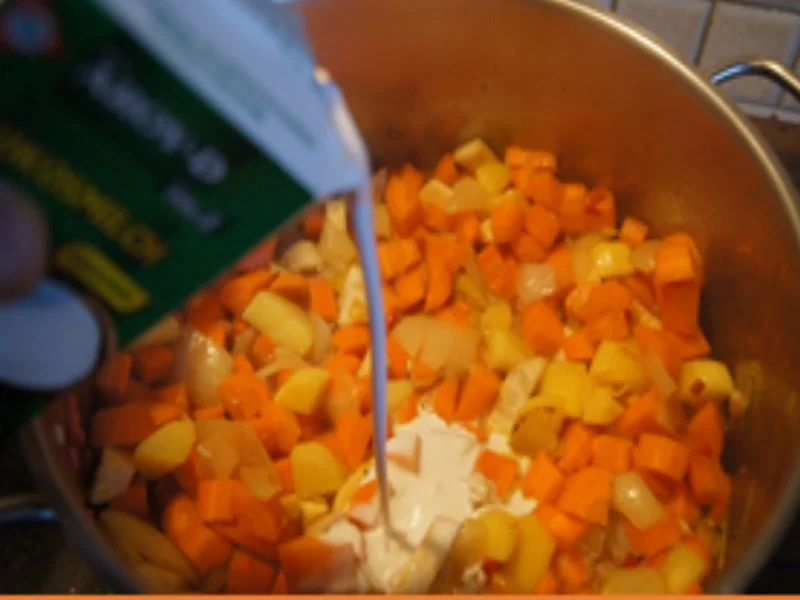 Möhren-Kokosmilch-Suppe mit Eismeer Garnelen - Rezept - Bild Nr. 15767