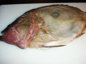 Rezept: Petersfisch mit sautierten Kürbisstücken und Estragonsauce Petersfisch mit sautierten Kürbisstücken und Estragonsauce - Rezept