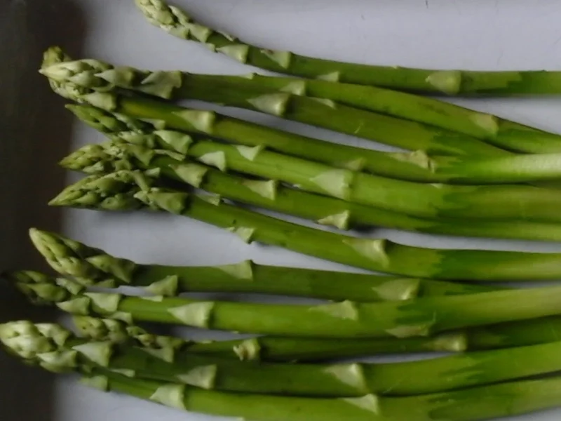 Rezept: Zweierlei Spargel mit Petersiliensauce, Schlemmerfilet und Drillingen Bild Nr. 15766 Zweierlei Spargel mit Petersiliensauce, Schlemmerfilet und Drillingen - Rezept - Bild Nr. 15766