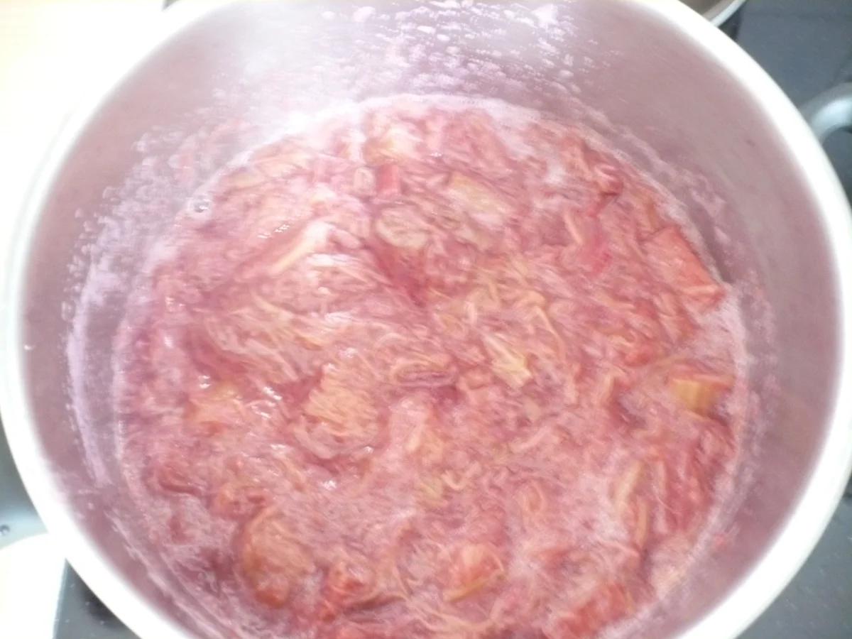 Rhabarber - Sahne - Torte - Rezept - Bild Nr. 15805