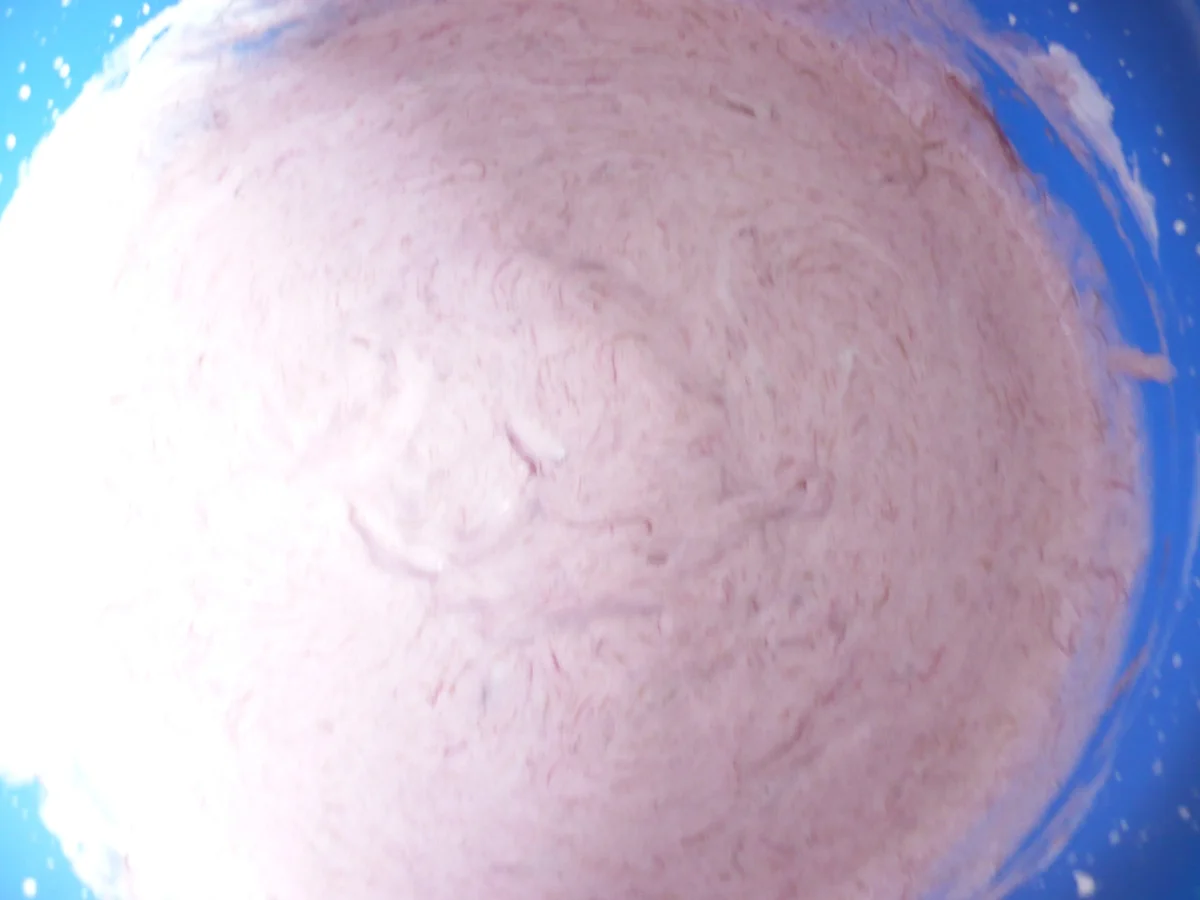 Rhabarber - Sahne - Torte - Rezept - Bild Nr. 15808