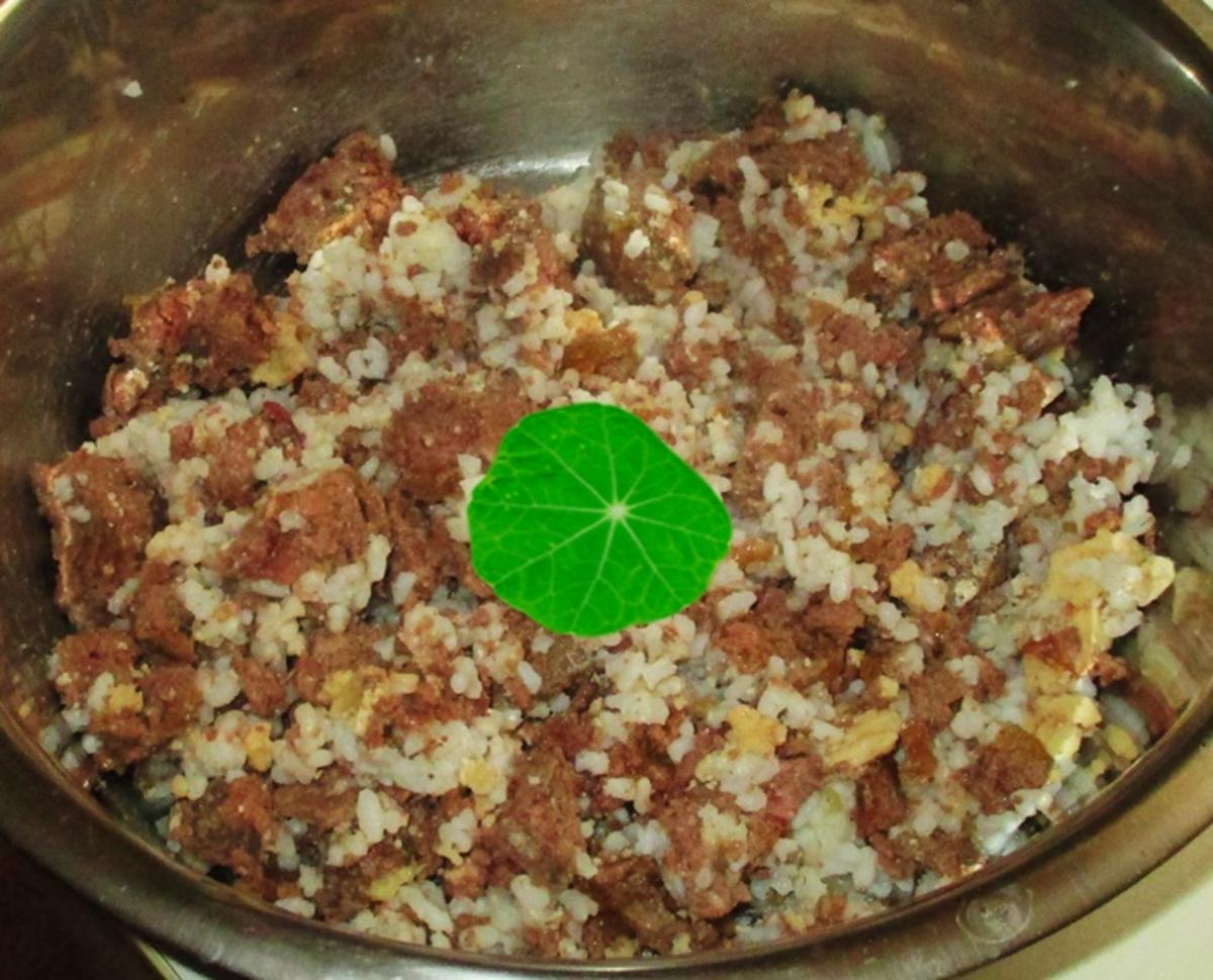 Hackfleischpfanne mit Reis - Wir kochen für unsere Fellnasen - Rezept - Bild Nr. 3