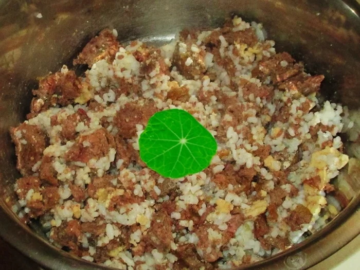 Rezept: Hackfleischpfanne mit Reis - Wir kochen für unsere Fellnasen Bild Nr. 3 Hackfleischpfanne mit Reis - Wir kochen für unsere Fellnasen - Rezept - Bild Nr. 3