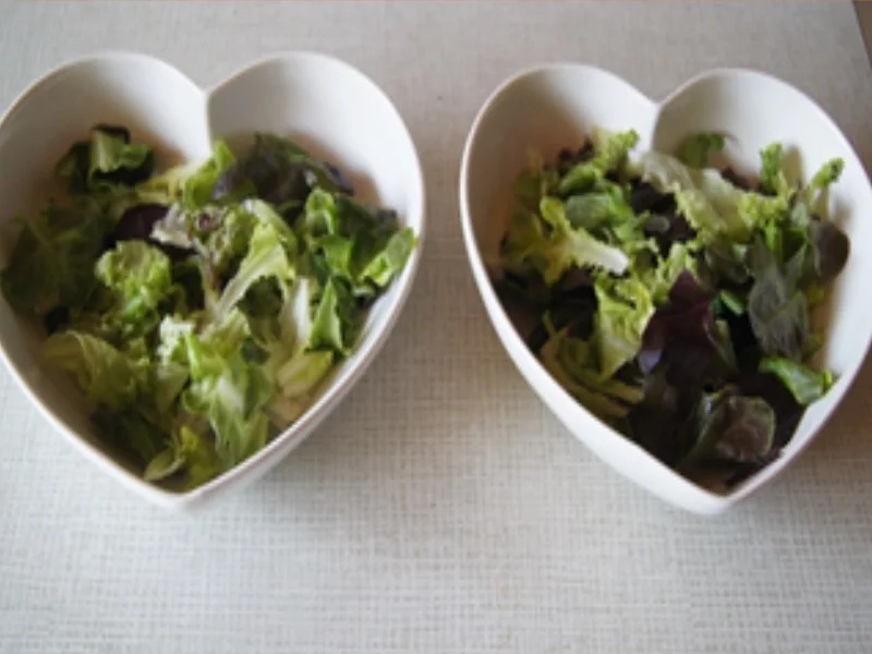 Rezept: Sahne Herings Filets mit Pellkartoffeln und gemischten Blattsalat Bild Nr. 15817 Sahne Herings Filets mit Pellkartoffeln und gemischten Blattsalat - Rezept - Bild Nr. 15817