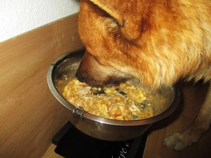 Hühnchen gekocht mit Kartoffeln - Wir kochen für unsere Fellnasen - Rezept - Bild Nr. 2