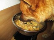 Hühnchen gekocht mit Kartoffeln - Wir kochen für unsere Fellnasen - Rezept - Bild Nr. 2