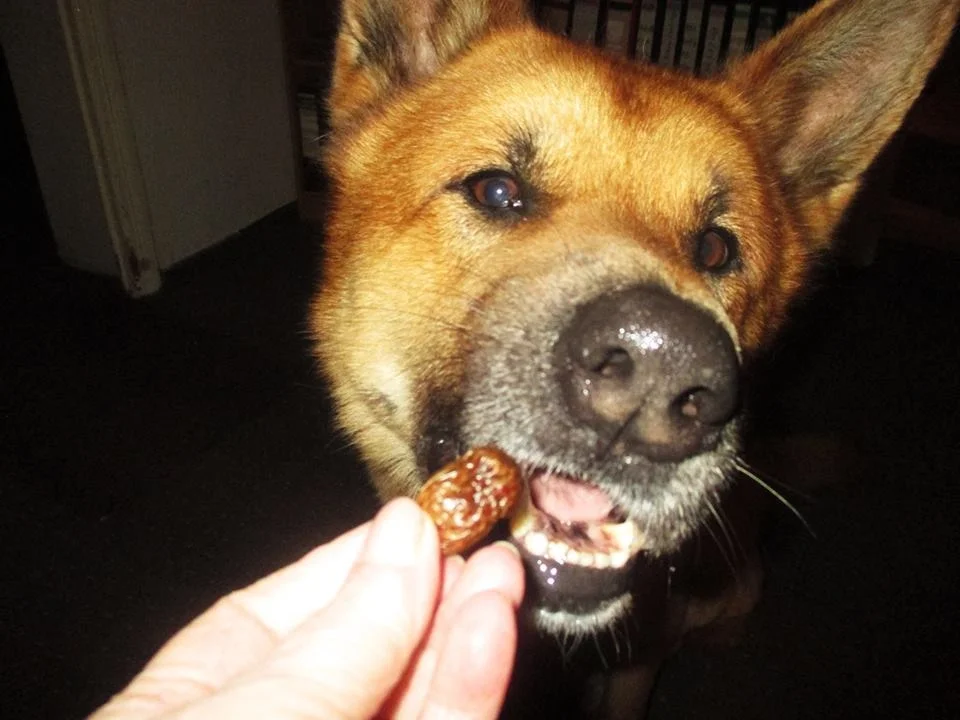 Hühnchen gekocht mit Kartoffeln - Wir kochen für unsere Fellnasen - Rezept - Bild Nr. 7