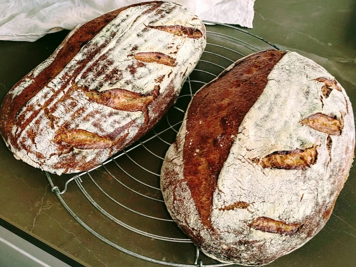 Rezept: Wasser-Mehl-Salz Brot Bild Nr. 15816 Wasser-Mehl-Salz Brot - Rezept - Bild Nr. 15816