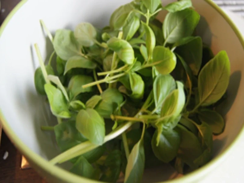 Rezept: Zucchini-Zuckerschoten-Suppe mit Parmesan Hippen Bild Nr. 15834 Zucchini-Zuckerschoten-Suppe mit Parmesan Hippen - Rezept - Bild Nr. 15834