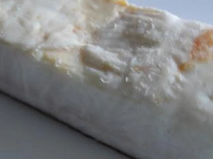 Spaghetti (Teil 3) mit einer Bolognese - Rezept - Bild Nr. 15837