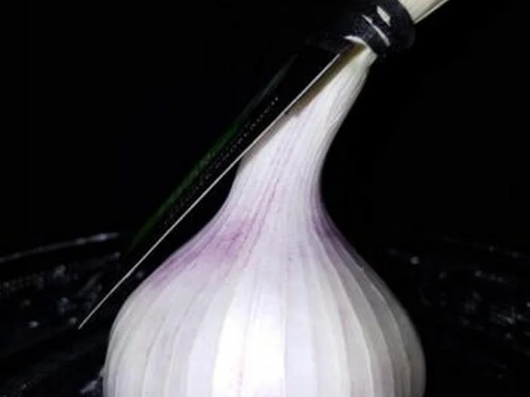 Spaghetti (Teil 3) mit einer Bolognese - Rezept - Bild Nr. 15838