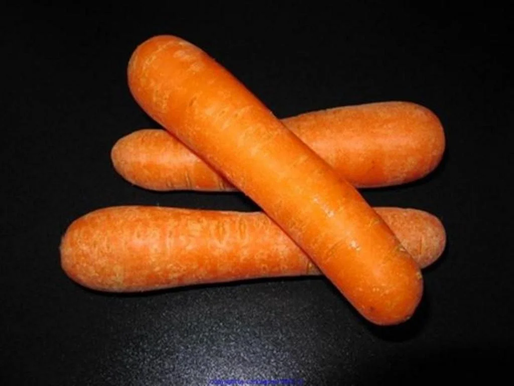 Spaghetti (Teil 3) mit einer Bolognese - Rezept - Bild Nr. 15839