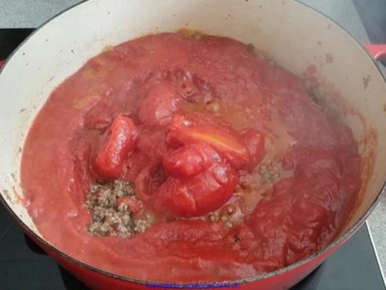 Spaghetti (Teil 3) mit einer Bolognese - Rezept - Bild Nr. 15841