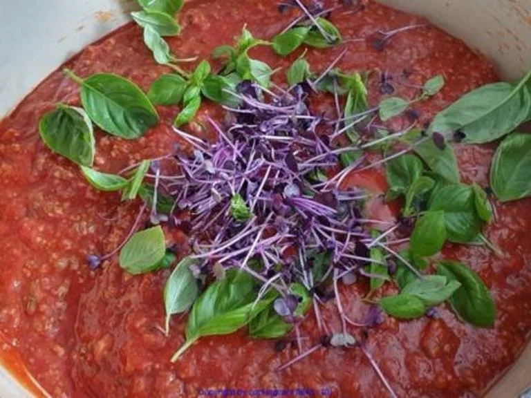 Spaghetti (Teil 3) mit einer Bolognese - Rezept - Bild Nr. 15852