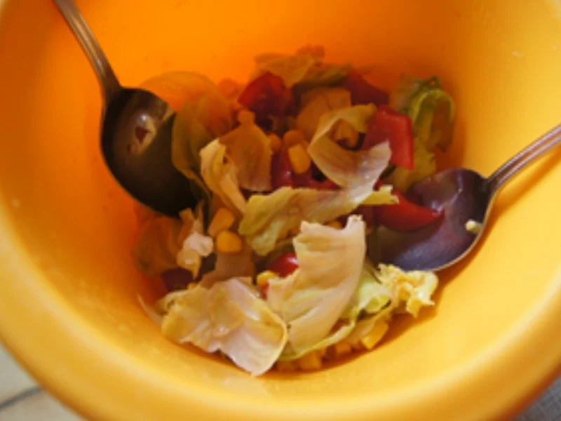 Rezept: Nackenkotelett mit Pommes Frites und gemischten Salat Bild Nr. 15842 Nackenkotelett mit Pommes Frites und gemischten Salat - Rezept - Bild Nr. 15842