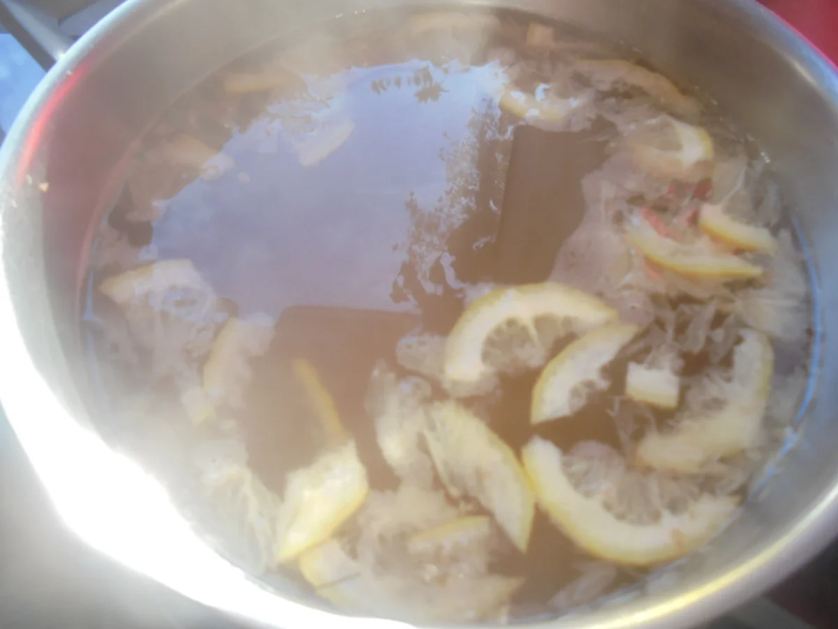 Zitronenlimonade - Rezept - Bild Nr. 15837