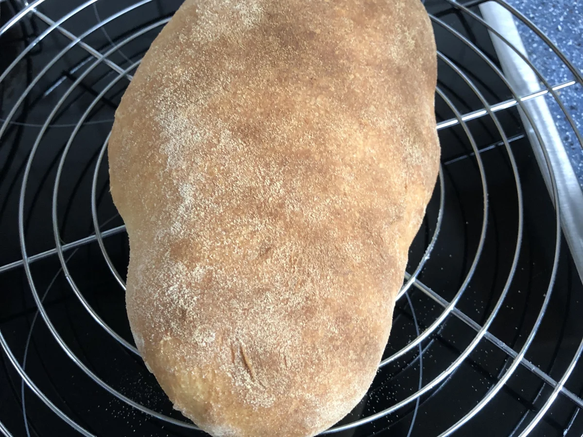 Ciabatta - Rezept - Bild Nr. 15843