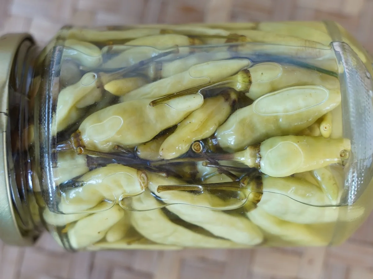 Süß-sauer eingelegte kleine grüne Chilis - Rezept - Bild Nr. 15853