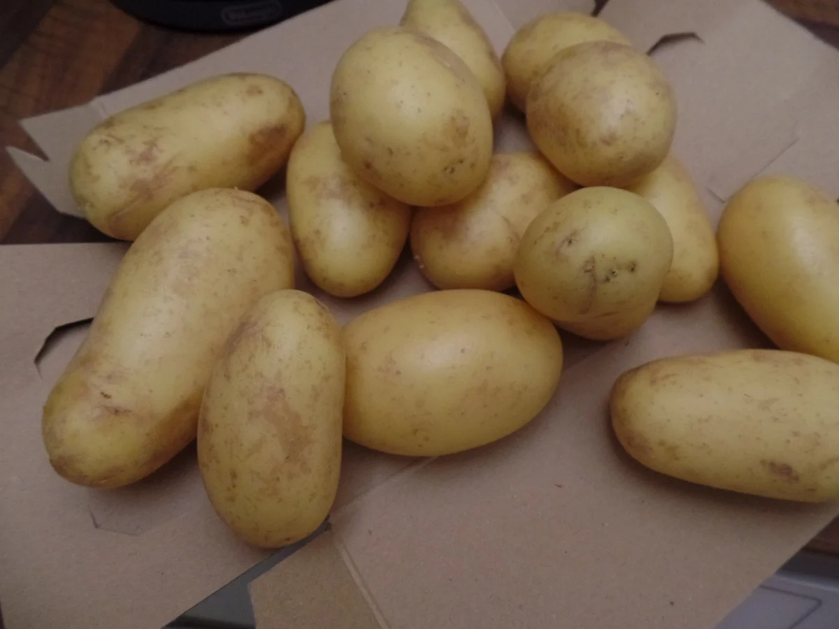 Rezept: Kartoffel-Hack-Gratin mit Spargel und einer cremiger Sauce Bild Nr. 15865 Kartoffel-Hack-Gratin mit Spargel und einer cremiger Sauce - Rezept - Bild Nr. 15865