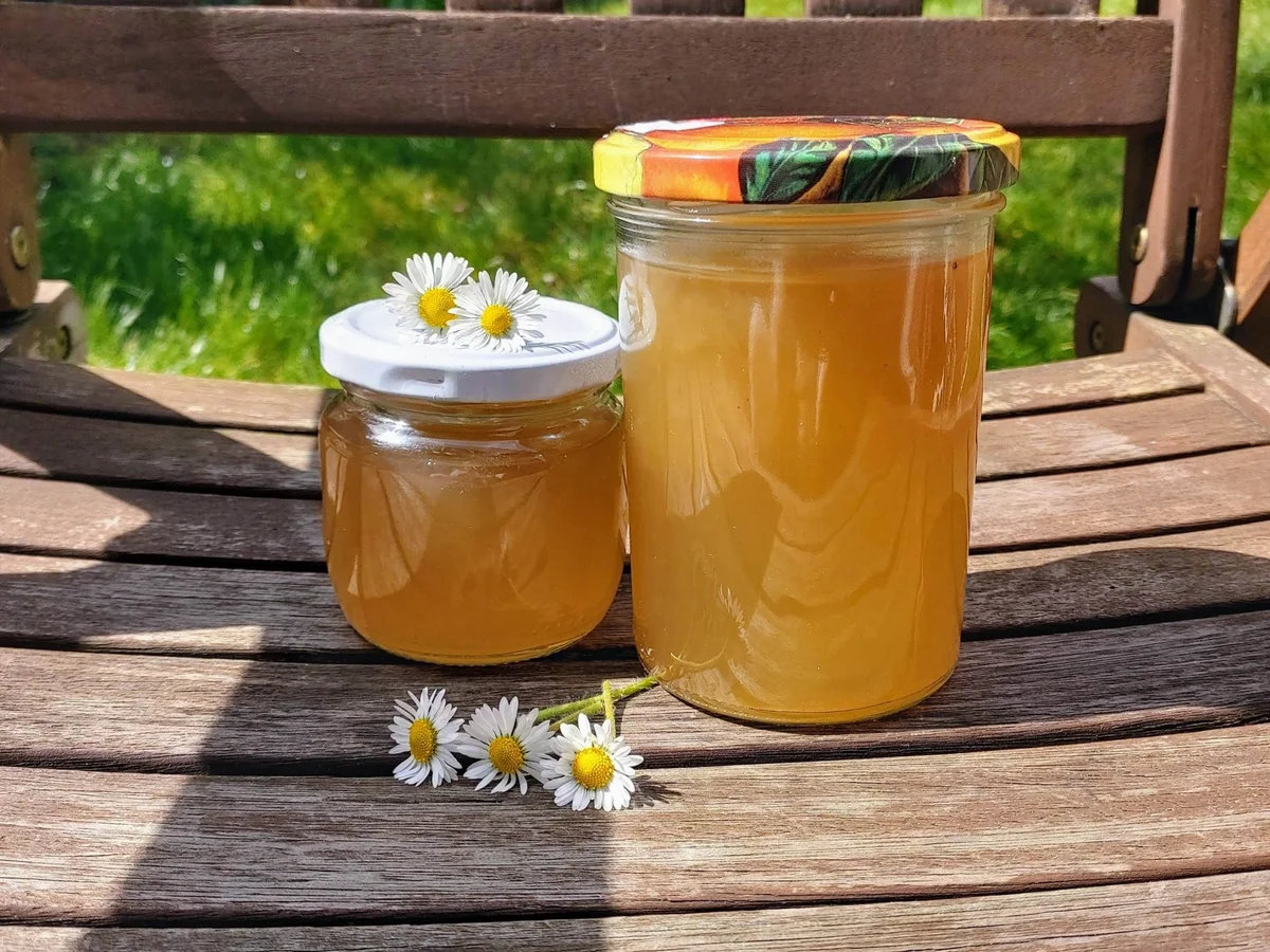 Rezept: Gänseblümchengelee Bild Nr. 2 Gänseblümchengelee - Rezept - Bild Nr. 2