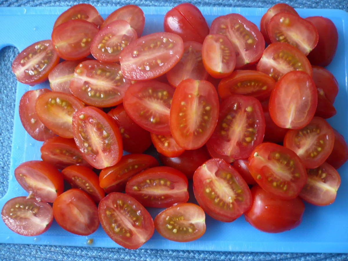 Pute in cremiger Soße - Rezept - Bild Nr. 15951